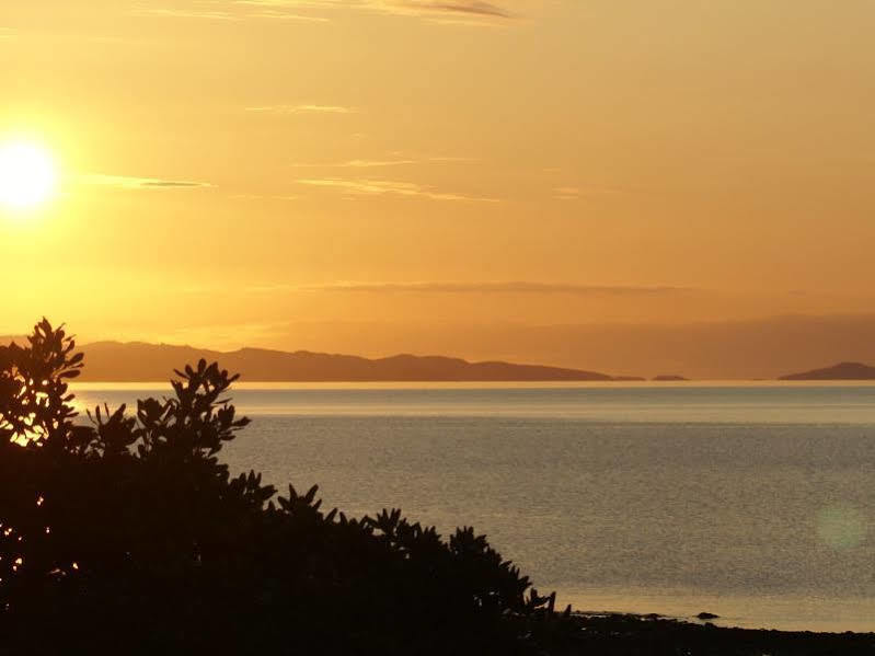 Te Puru Beach Lodge Exterior foto